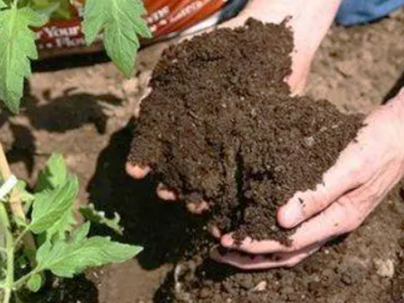 Produktionsproces for organisk g&oslash;dning